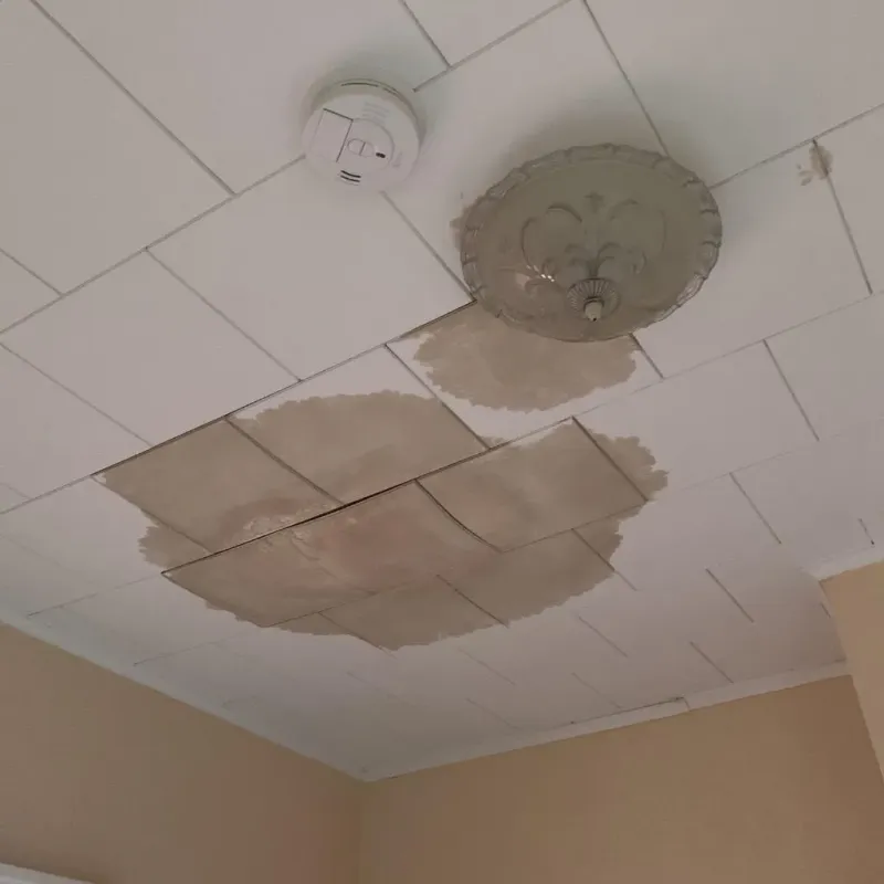 Ceiling Water Damage Repair in Quinebaug, CT