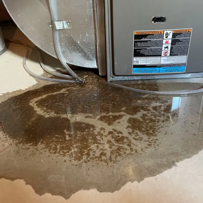 Pipe Burst and Leak Restoration in Quinebaug, CT