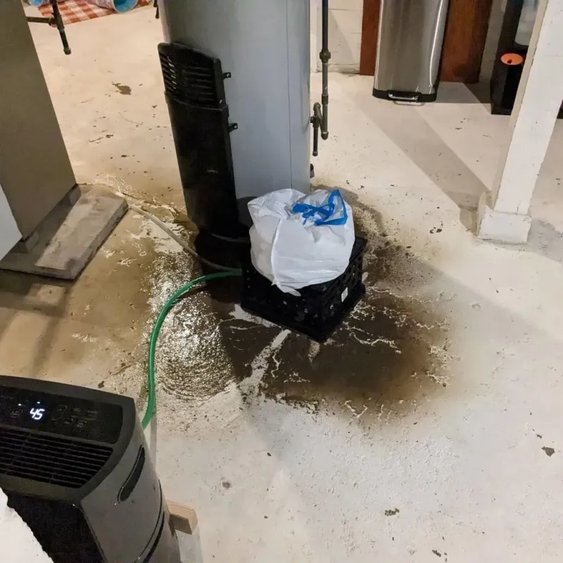 Sewage Backup Cleanup Service in Quinebaug, CT